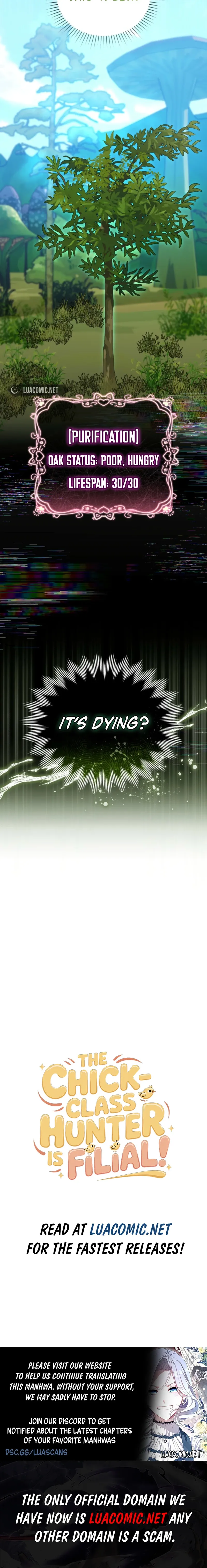 Read The Chick-Class Hunter is Filial! Manga Online