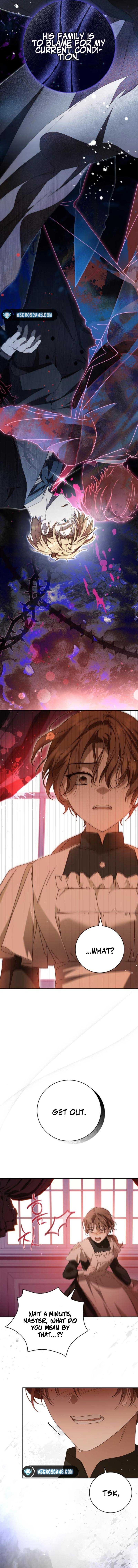 Read The Count’s Secret Maid Manga Online