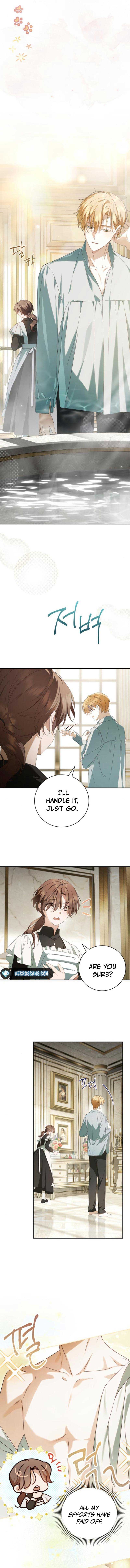 Read The Count’s Secret Maid Manga Online