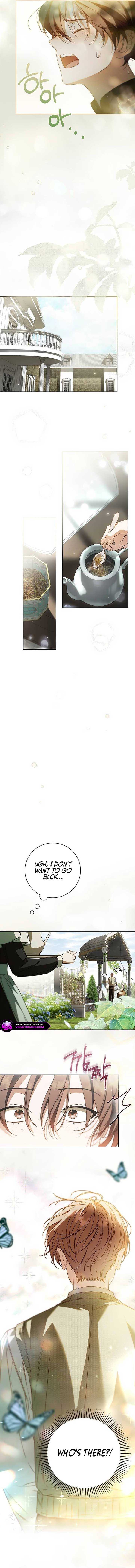 Read The Count’s Secret Maid Manga Online