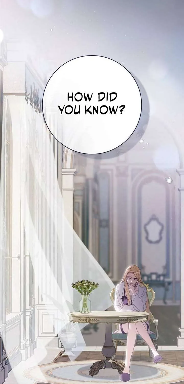 Read The Count’s Secret Maid Manga Online