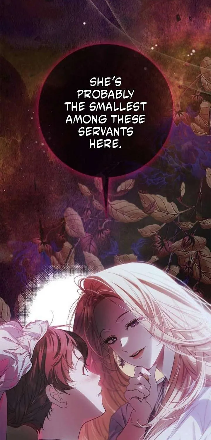 Read The Count’s Secret Maid Manga Online