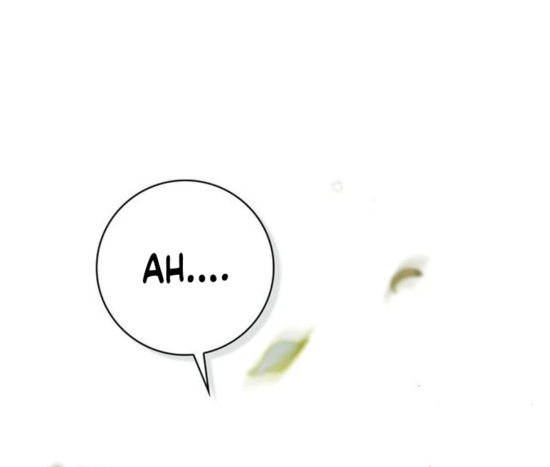 Read The Count’s Secret Maid Manga Online