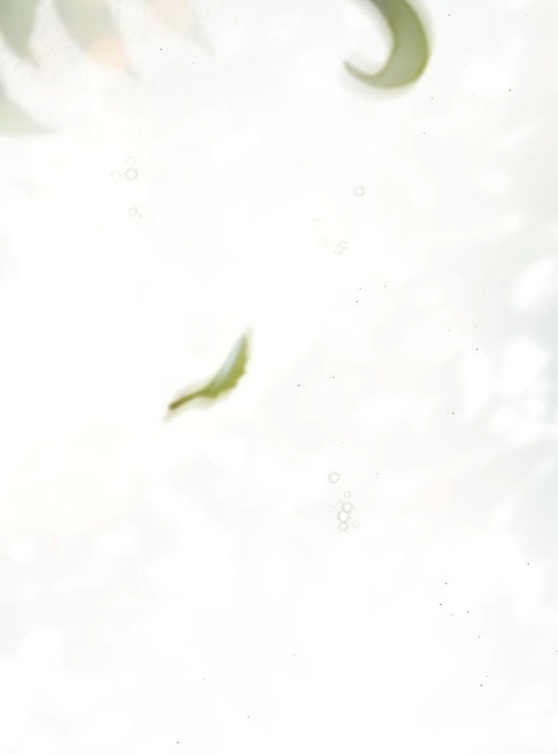 Read The Count’s Secret Maid Manga Online