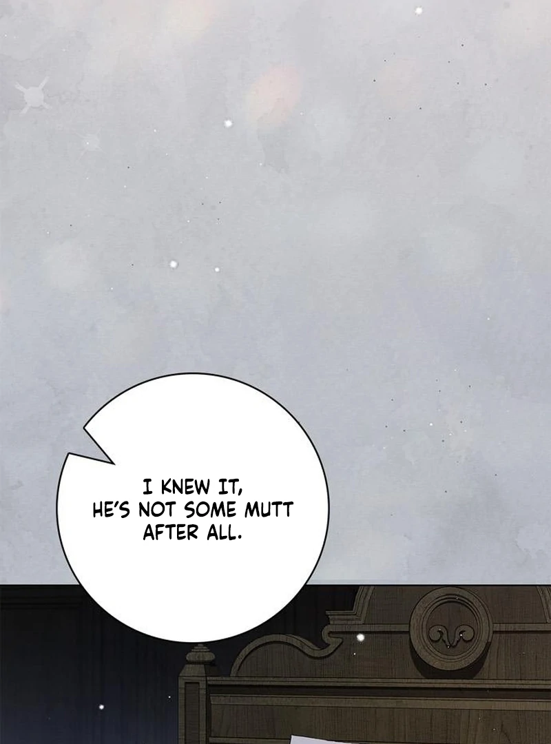 Read The Count’s Secret Maid Manga Online