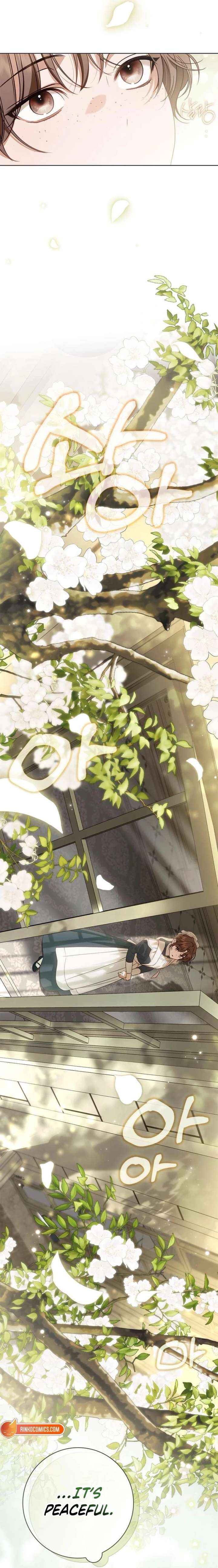 Read The Count’s Secret Maid Manga Online