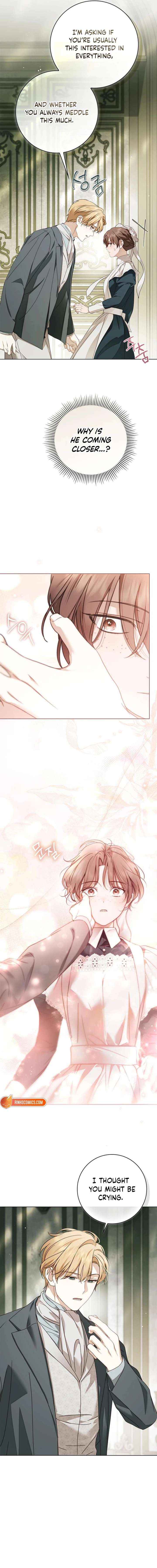 Read The Count’s Secret Maid Manga Online