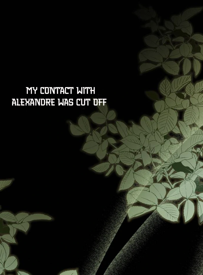 Read The End of a Fake Marriage Manga Online