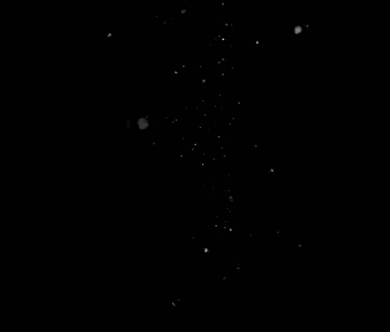 Read The End of a Fake Marriage Manga Online