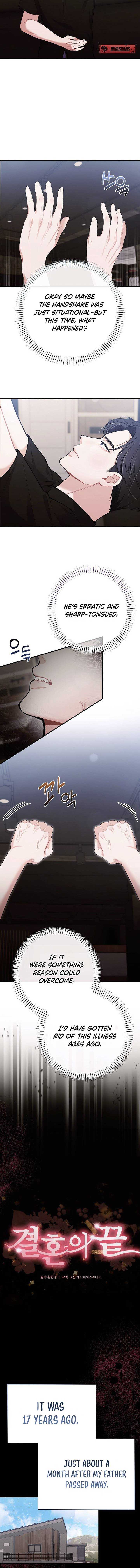 Read The End of a Fake Marriage Manga Online