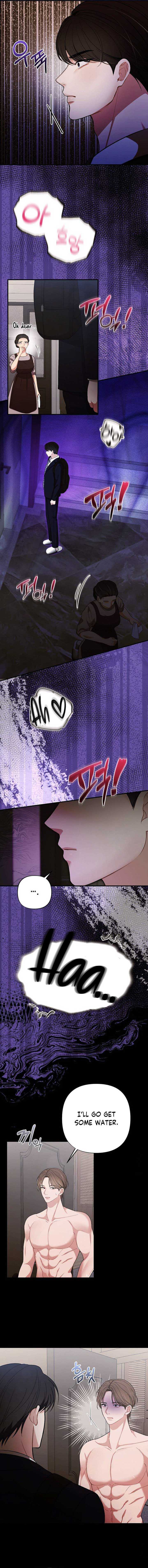 Read The End of a Fake Marriage Manga Online