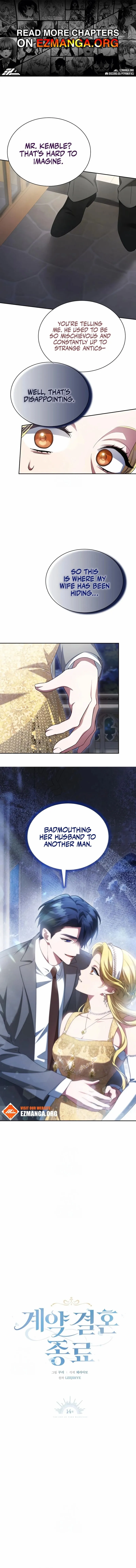 Read The End of a Fake Marriage Manga Online
