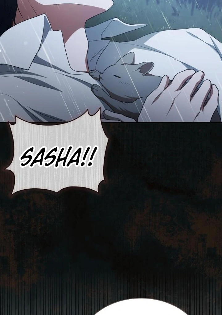 Read The End of a Fake Marriage Manga Online