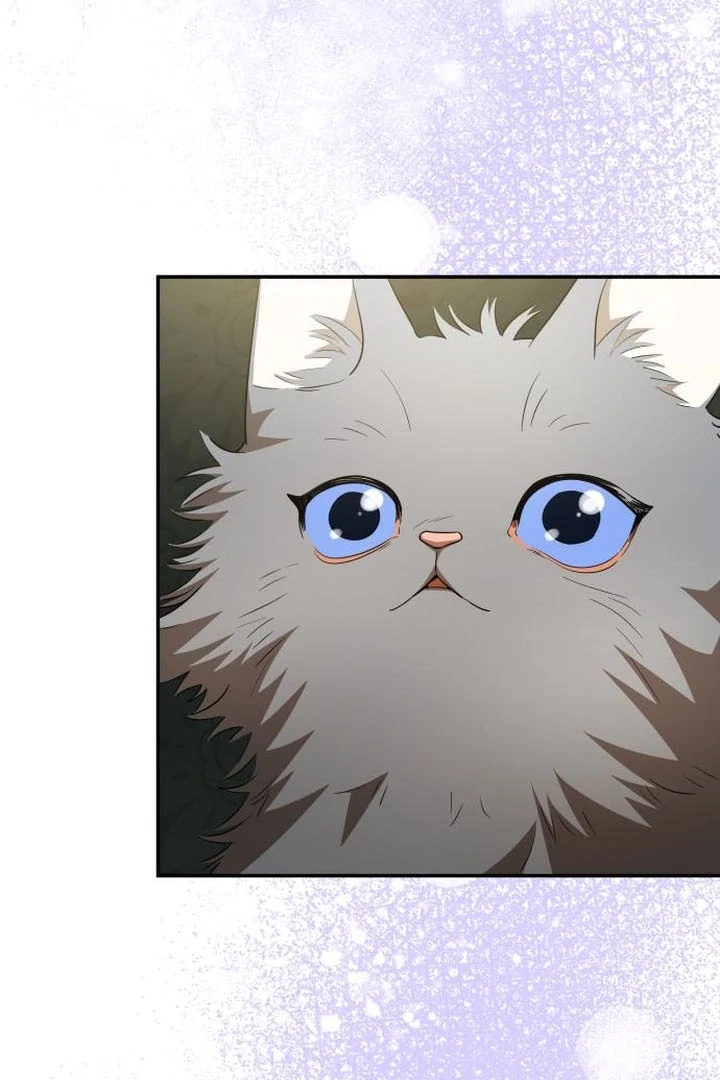 Read The End of a Fake Marriage Manga Online