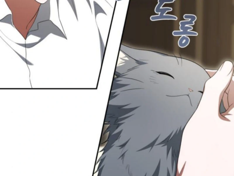 Read The End of a Fake Marriage Manga Online