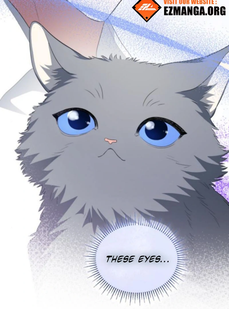 Read The End of a Fake Marriage Manga Online