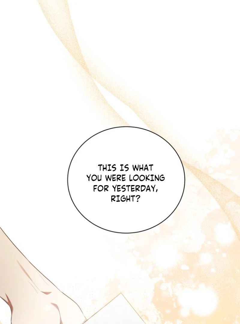 Read The End of a Fake Marriage Manga Online