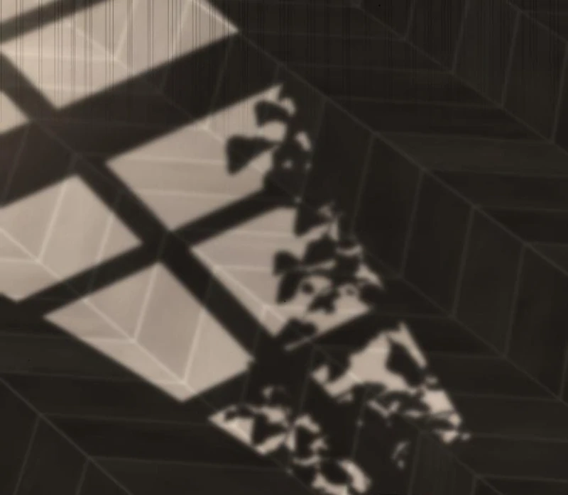 Read The End of a Fake Marriage Manga Online