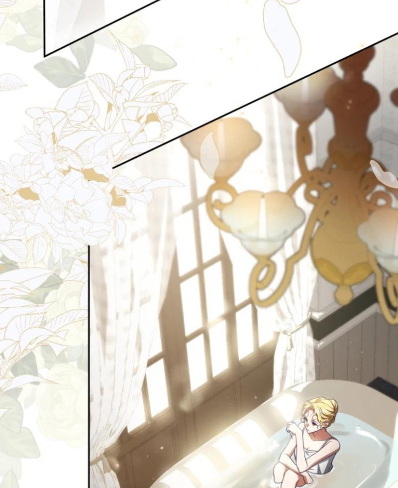 Read The End of a Fake Marriage Manga Online