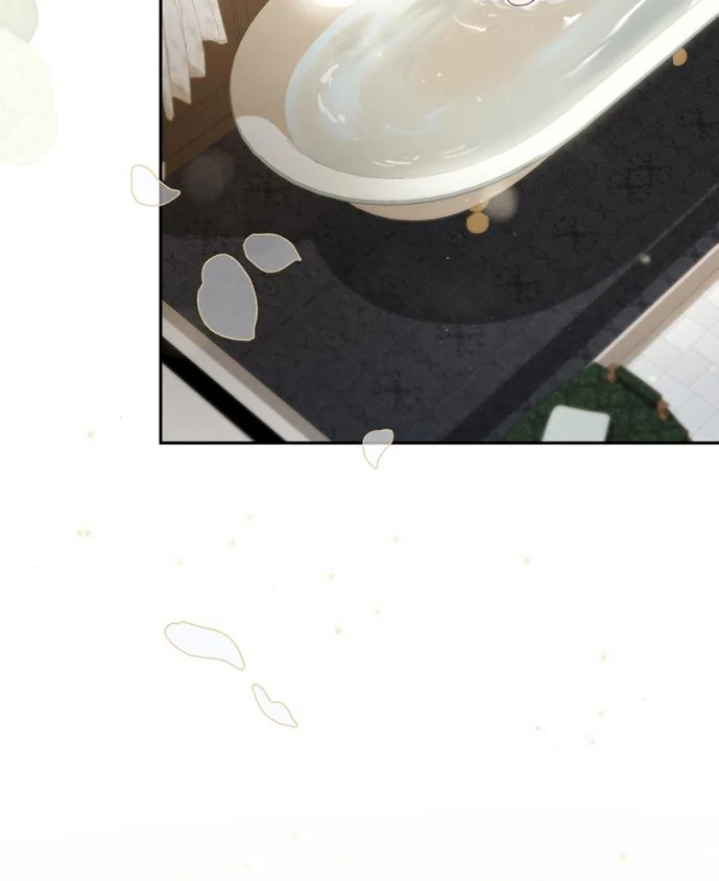 Read The End of a Fake Marriage Manga Online