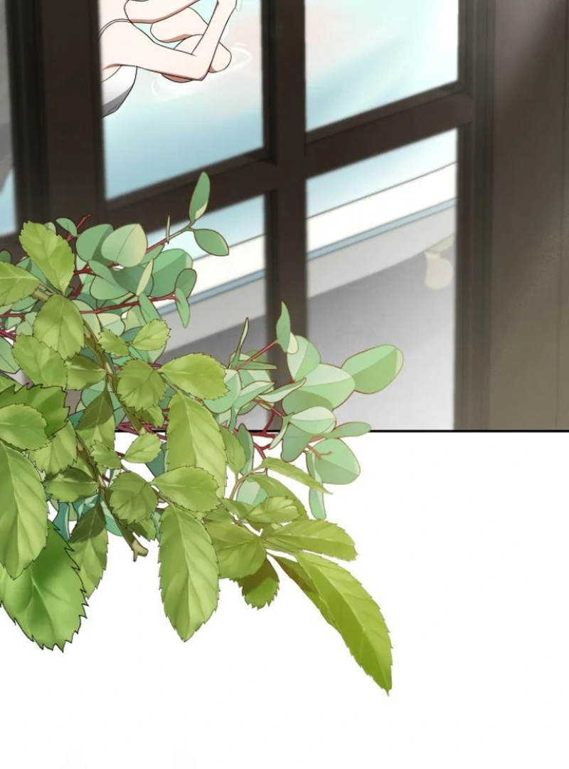 Read The End of a Fake Marriage Manga Online