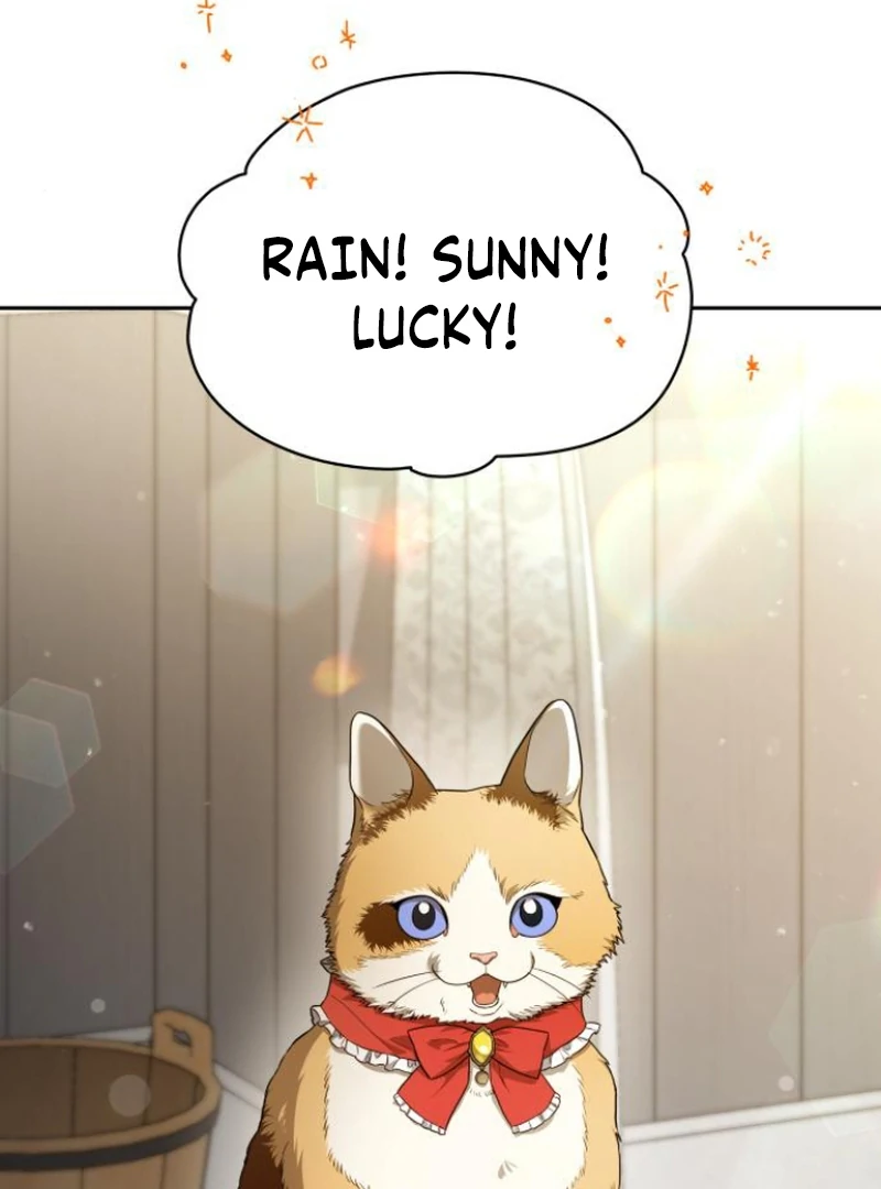 Read The End of a Fake Marriage Manga Online