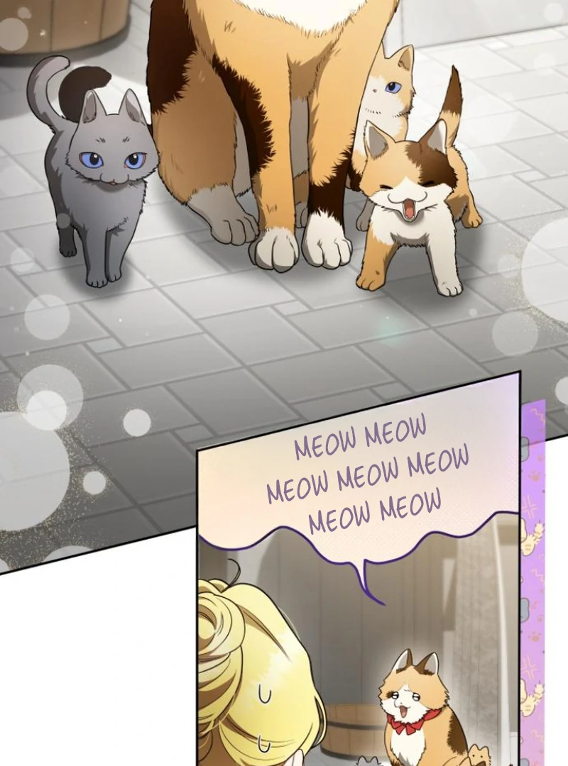 Read The End of a Fake Marriage Manga Online