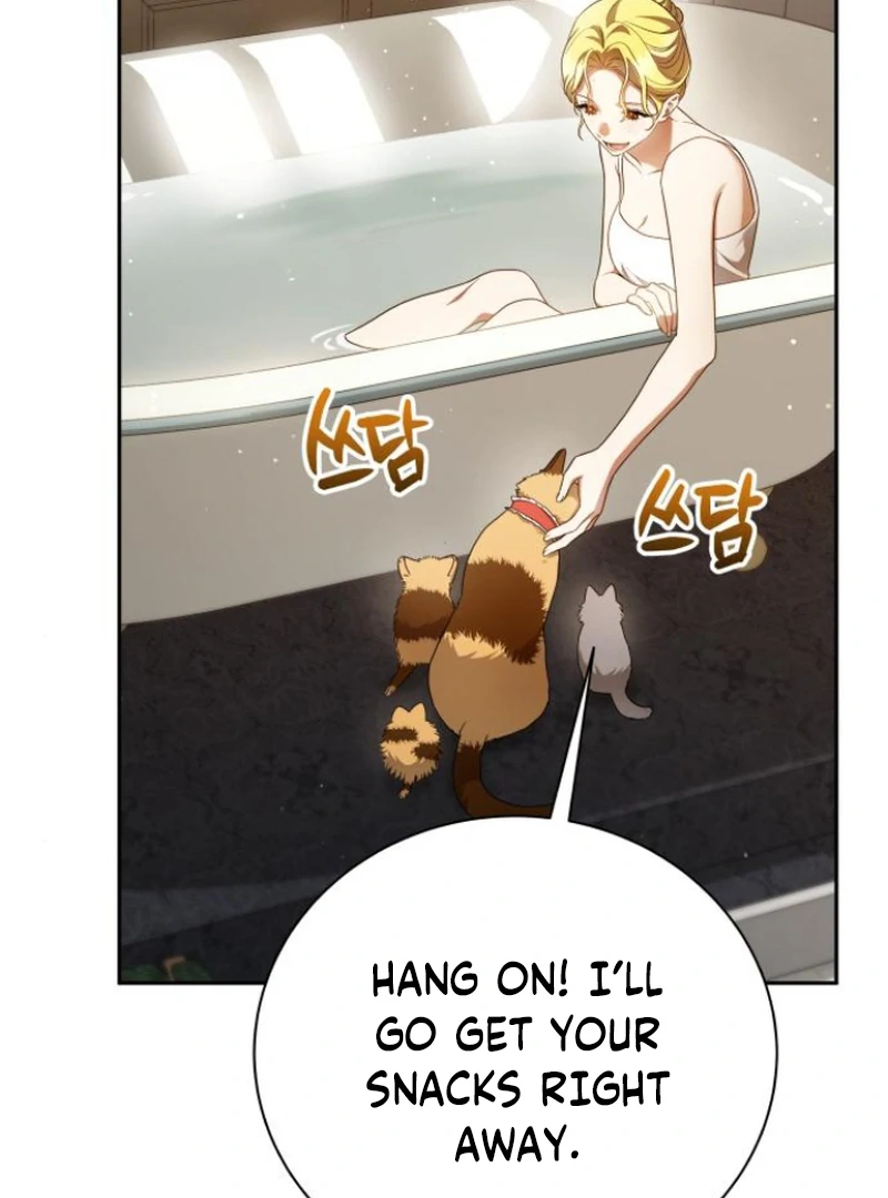 Read The End of a Fake Marriage Manga Online