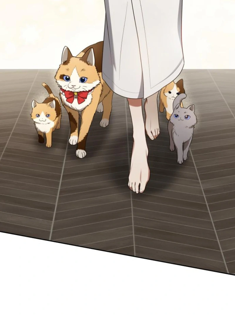 Read The End of a Fake Marriage Manga Online