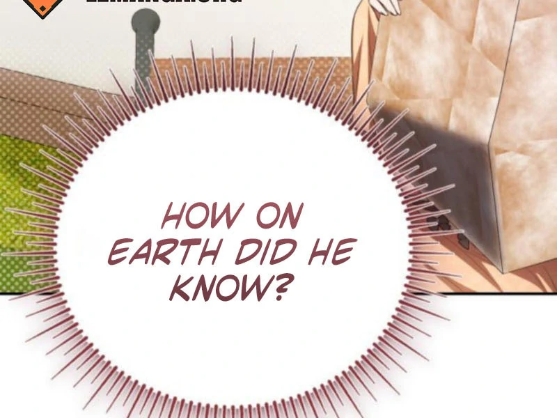 Read The End of a Fake Marriage Manga Online