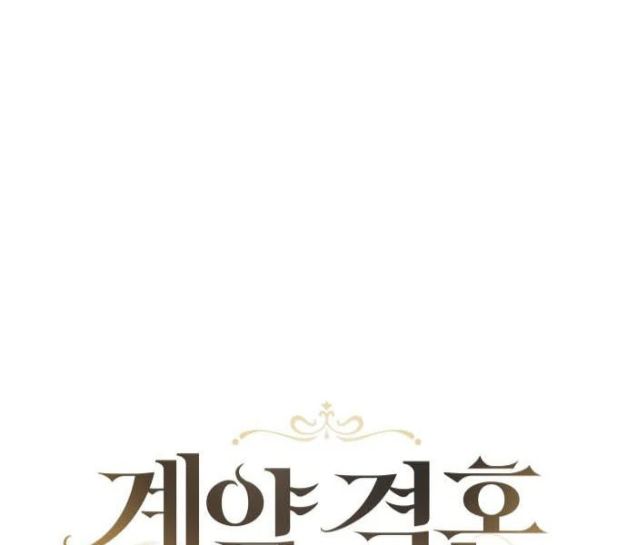 Read The End of a Fake Marriage Manga Online