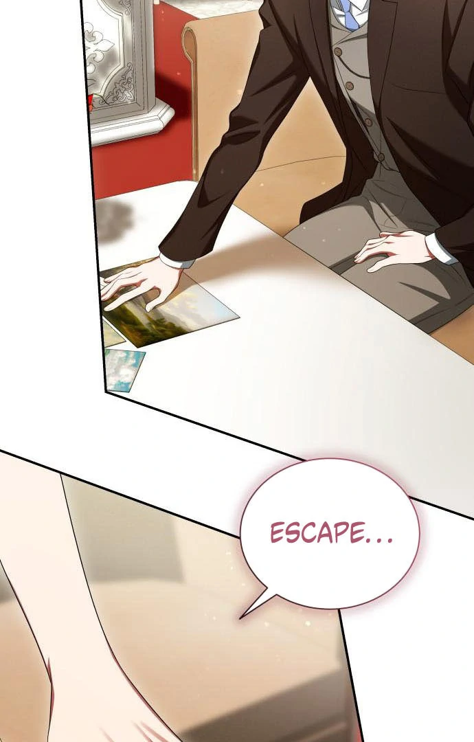 Read The End of a Fake Marriage Manga Online