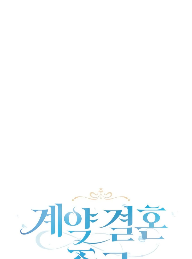 Read The End of a Fake Marriage Manga Online