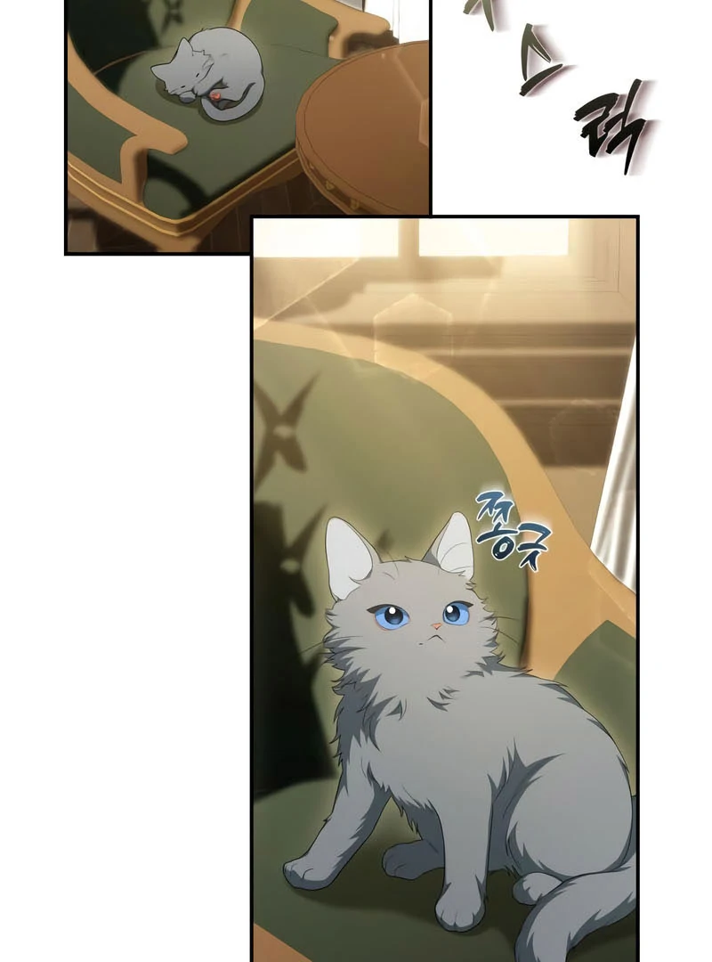 Read The End of a Fake Marriage Manga Online