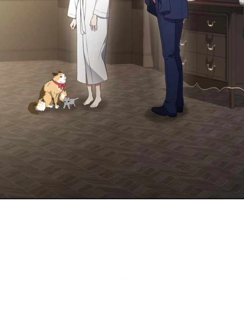 Read The End of a Fake Marriage Manga Online