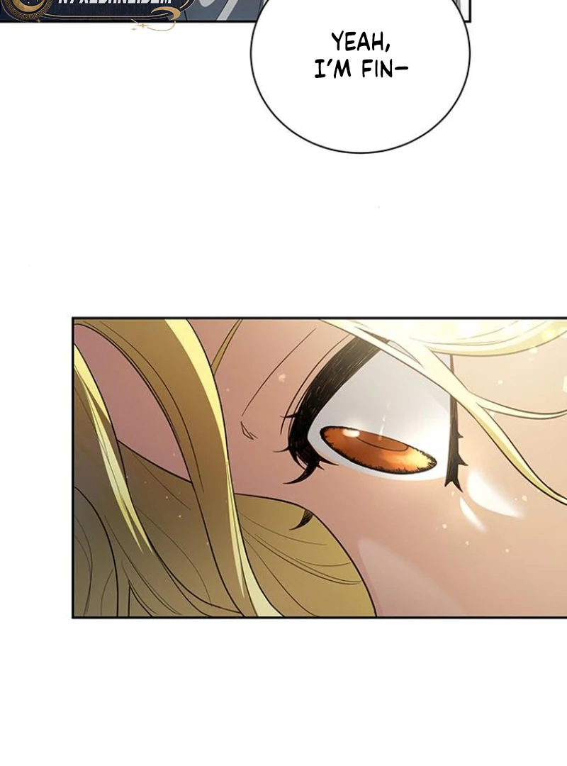 Read The End of a Fake Marriage Manga Online