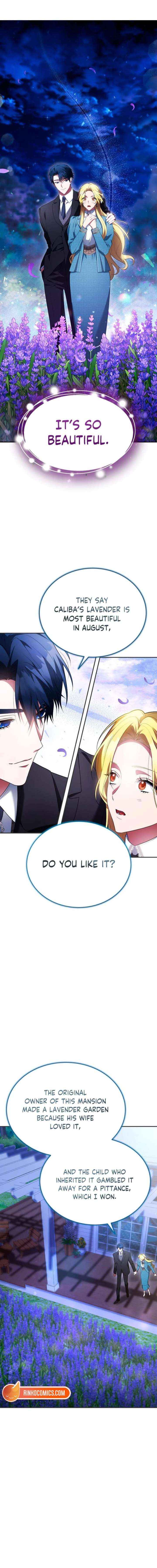 Read The End of a Fake Marriage Manga Online