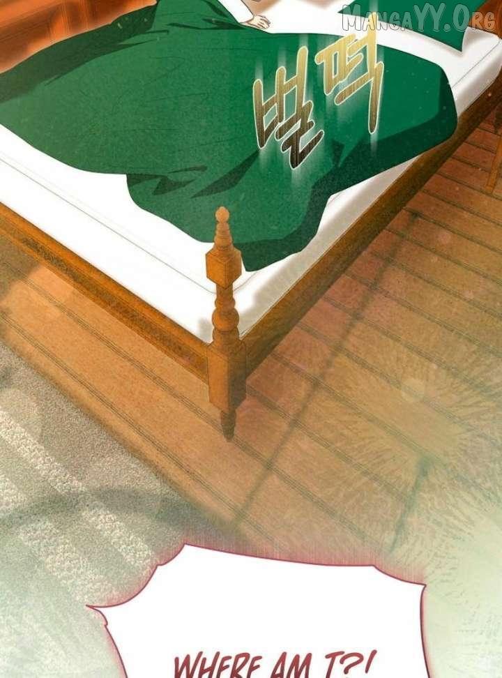 Read The End of a Fake Marriage Manga Online