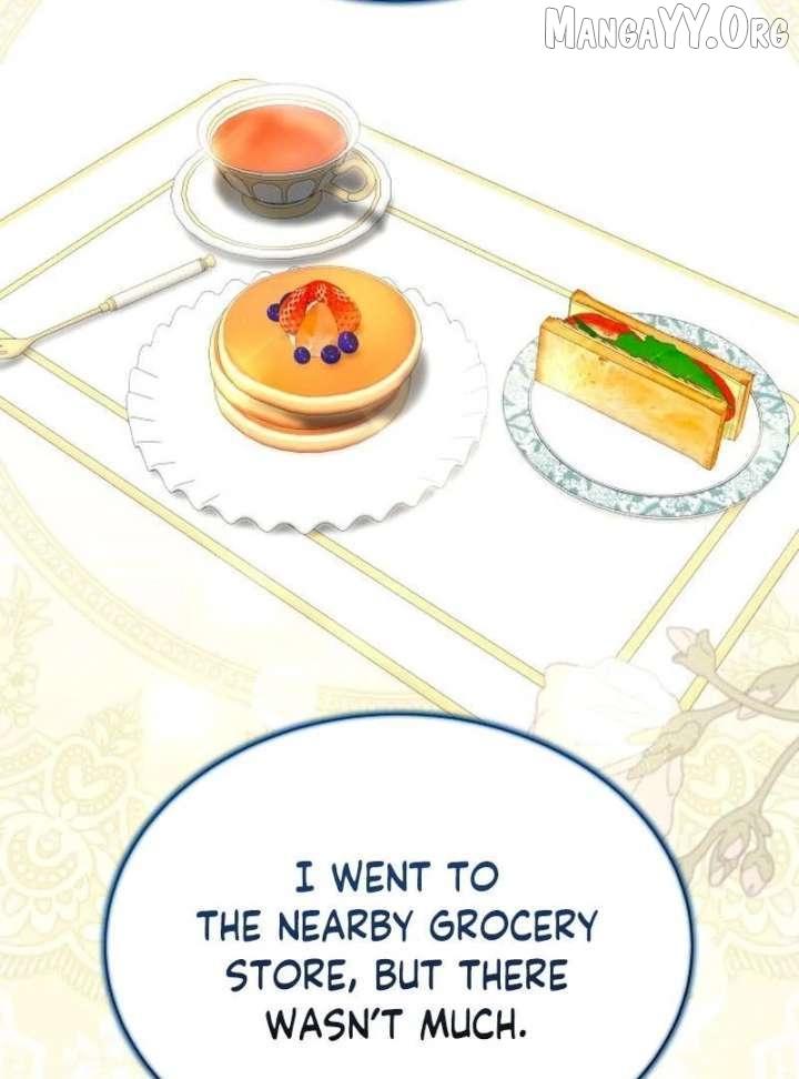 Read The End of a Fake Marriage Manga Online