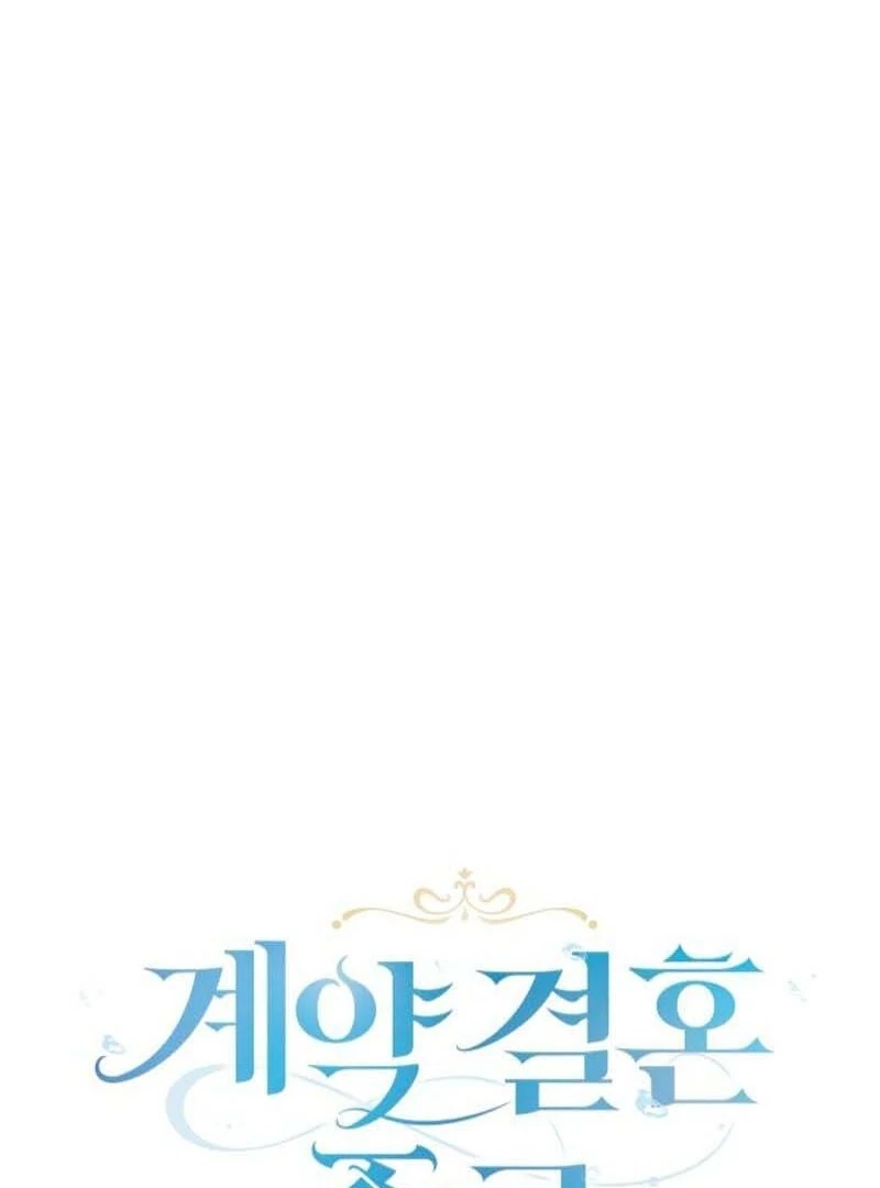 Read The End of a Fake Marriage Manga Online