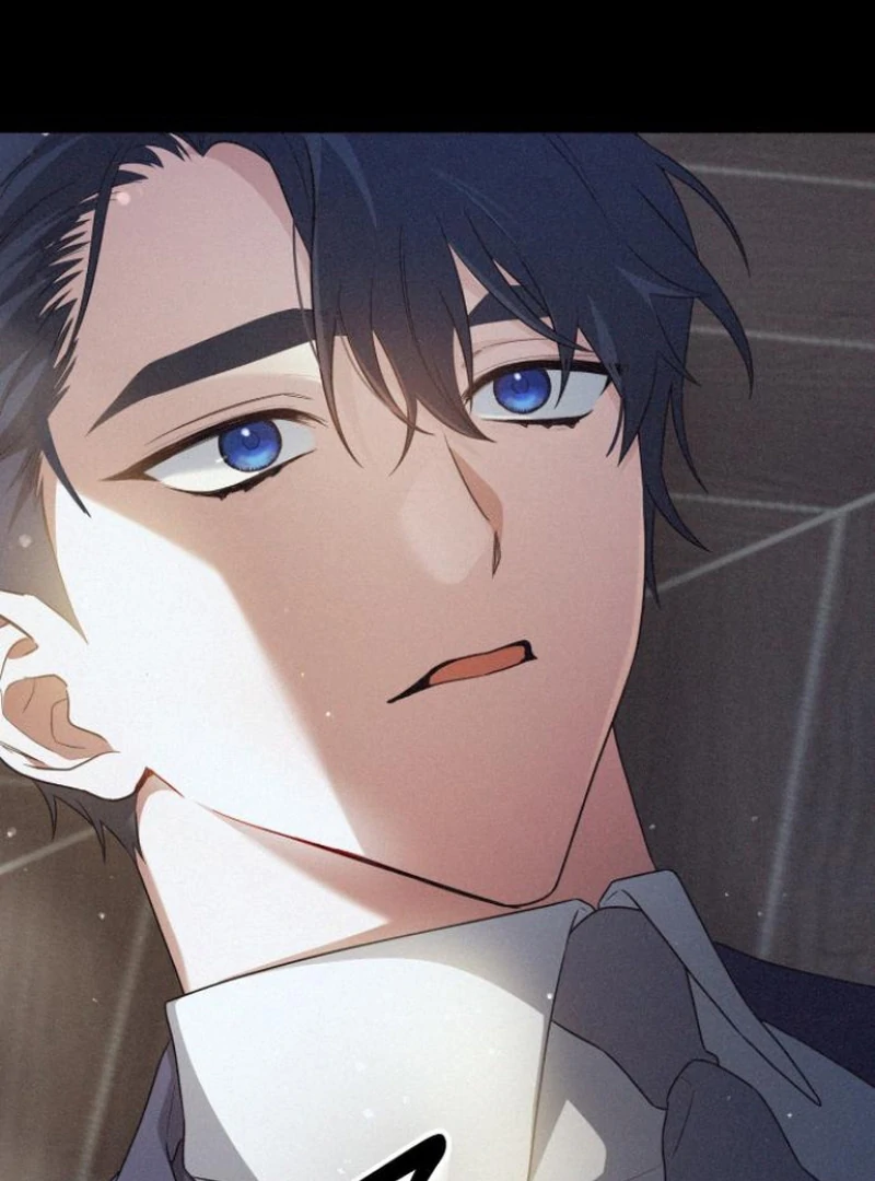 Read The End of a Fake Marriage Manga Online