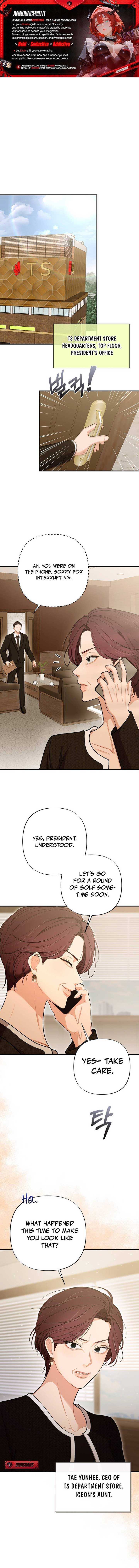 Read The End of a Fake Marriage Manga Online