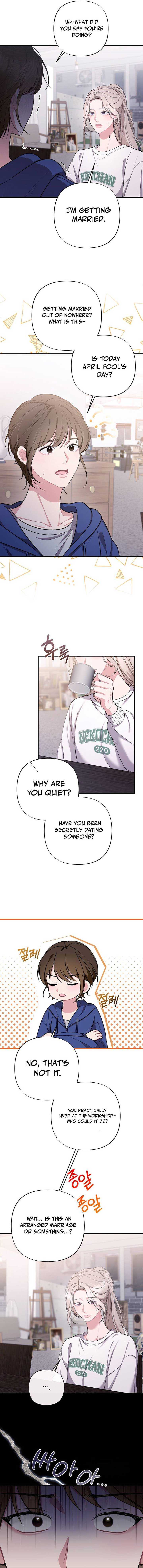 Read The End of a Fake Marriage Manga Online