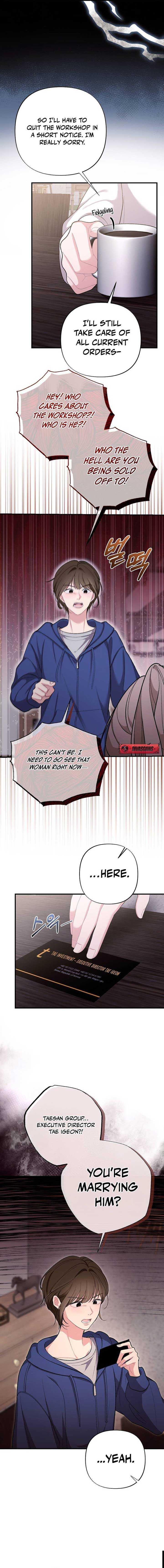 Read The End of a Fake Marriage Manga Online