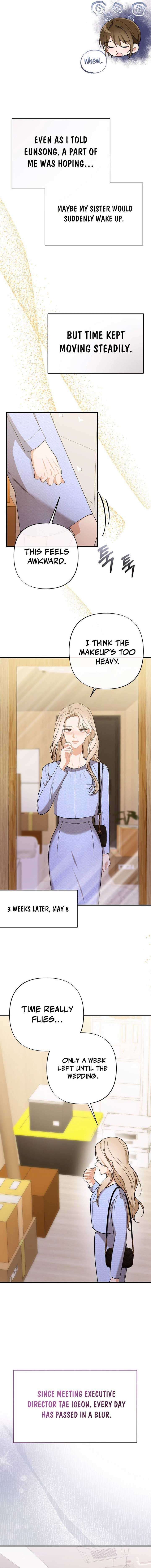 Read The End of a Fake Marriage Manga Online