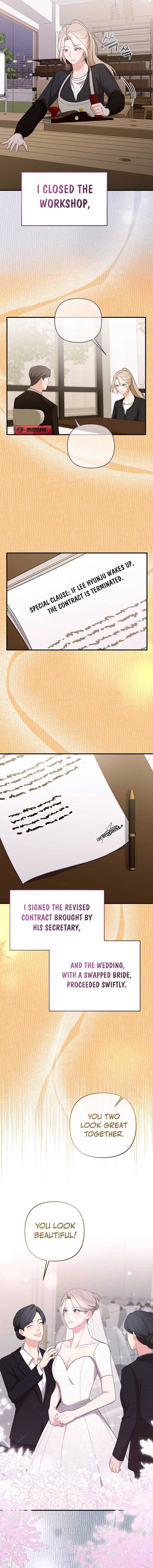 Read The End of a Fake Marriage Manga Online