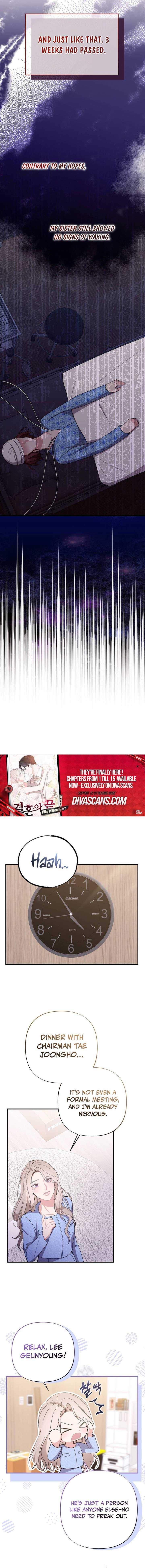 Read The End of a Fake Marriage Manga Online