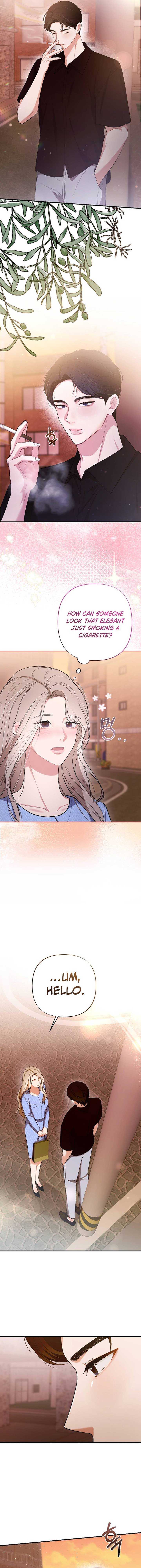 Read The End of a Fake Marriage Manga Online