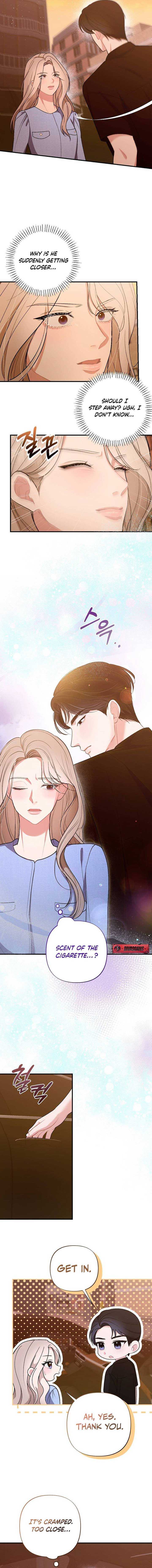 Read The End of a Fake Marriage Manga Online