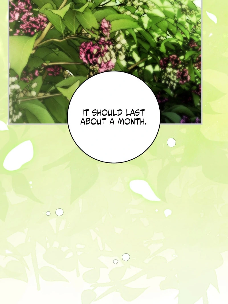 Read The Flower with a Sword Manga Online